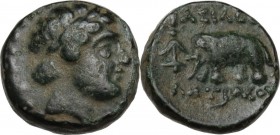 Greek Asia. Syria, Seleucid Kings. Antiochos III Megas (223-187 BC). AE 11 mm, Antioch mint. Obv. Head of Apollo right, laureate. Rev. Elephant left; ...