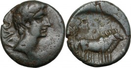 Augustus (27 BC - 14 AD). AE 18 mm, Macedon, Philippi. Obv. Head right, bare. Rev. Priests ploughing right with pair of oxen. RPC I 1656. AE. 3.82 g. ...