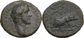 Antoninus Pius (138-161). AE As, 143-144 AD. Obv. Laureate and draped bust right. Rev. Sow right under holm oak suckling four young; to right, one (or...