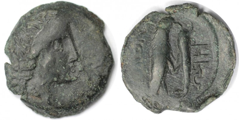 Griechische Münzen, BOSPORUS. Olbia. Bronze 260-250 v. Chr. (3,27 g. 19 mm). Seh...