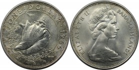Weltmünzen und Medaillen, Bahamas. Muschel. 1 Dollar 1966. 18,14 g. 0.800 Silber. 0.47 OZ. KM 8. Stempelglanz