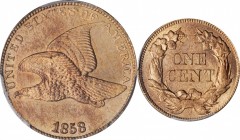 Flying Eagle Cent

1858 Flying Eagle Cent. Large Letters, High Leaves (Style of 1857), Type I. MS-65 (PCGS).

This is a lovely Gem Mint State cent...