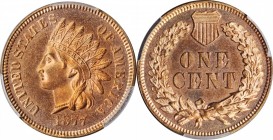 Indian Cent

1877 Indian Cent. Proof-64 RD (PCGS).

Lovely pinkish-rose color greets the viewer from fully impressed surfaces. The design elements...