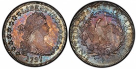 Draped Bust Half Dollar

The Magnificent Pogue-1797 Half Dollar

Considered Finest Known

1797 Draped Bust Half Dollar. Small Eagle. O-101a, T-1...