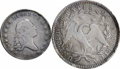 Flowing Hair Half Dollar

1794 Flowing Hair Half Dollar. O-101, T-7. Rarity-3+. VG Details--Plugged (PCGS).

Here is a more affordable circulated ...