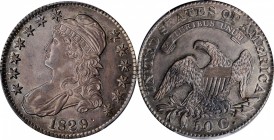 Capped Bust Half Dollar

1829 Capped Bust Half Dollar. O-117. Rarity-2. Small Letters. MS-63 (PCGS).

An appealing specimen richly toned in violet...