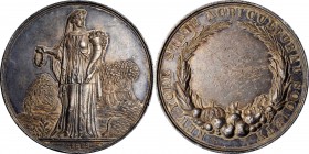 Agricultural, Scientific, and Professional Medals

Undated (ca. 1860s) New York State Agricultural Society Award Medal. Julian AM-61, Harkness Ny-39...