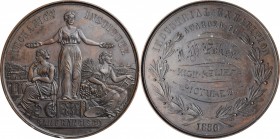 Agricultural, Scientific, and Professional Medals

1886 San Francisco Mechanics Institute Award Medal. Harkness Ca-92. Bronze. About Uncirculated, E...