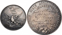 Agricultural, Scientific, and Professional Medals

1869 Illinois State Agricultural Society Award Medal. Harkness Il-45. Silver. Very Fine.

41 mm...