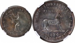 Hard Times Tokens

1834 The Constitution. HT-25, Low-12, DeWitt-CE 1834-14, W-10-310a. Copper. Plain Edge. MS-62 BN (NGC).

28.5 mm.

From the N...