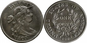 Draped Bust Cent

1803 Draped Bust Cent. S-247. Rarity-3. Small Date, Small Fraction--Obverse Strikethrough--EF-45, Recolored.

A very sharp examp...