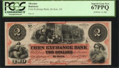 Nebraska

De Soto, Nebraska. Corn Exchange Bank. 1860 $2. PCGS Currency Superb Gem New 67 PPQ. Remainder.

An aptly named bank title fits this Neb...