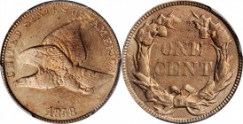 Flying Eagle Cent

1858 Flying Eagle Cent. Large Letters, High Leaves (Style of 1857), Type I. MS-63 (PCGS).

PCGS# 2019. NGC ID: 2277.

From th...