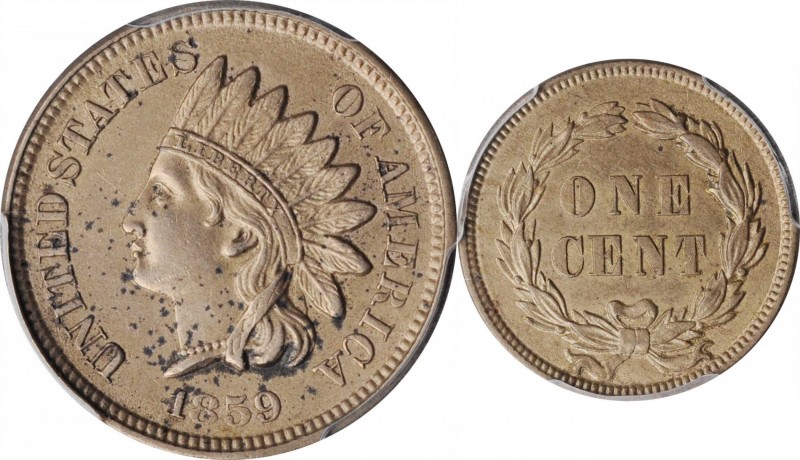 Indian Cent

1859 Indian Cent. AU Details--Environmental Damage (PCGS).

PCG...