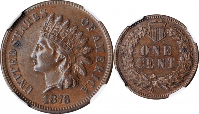 Indian Cent

1876 Indian Cent. AU-55 BN (NGC).

PCGS# 2124. NGC ID: 2283.
...