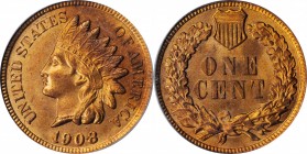 Indian Cent

1908 Indian Cent. MS-64 RD (PCGS).

PCGS# 2231. NGC ID: 2295.

From the Dr. Jeffrey A. Rudolph Collection.

Estimate: $ 150