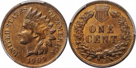Indian Cent

1909-S Indian Cent. Unc Details--Questionable Color (PCGS).

PCGS# 2238. NGC ID: 2298.

Estimate: $ 800