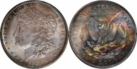 Morgan Silver Dollar

1878 Morgan Silver Dollar. 7/8 Tailfeathers. VAM-33. Strong, 7/4 Tailfeathers. MS-65 (NGC).

PCGS# 134032. NGC ID: 2TY3.

...