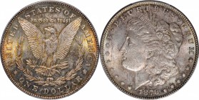 Morgan Silver Dollar

1878 Morgan Silver Dollar. 7 Tailfeathers. Reverse of 1878. MS-62 (PCGS).

PCGS# 7074. NGC ID: 253K.

From the Bill Gleckl...
