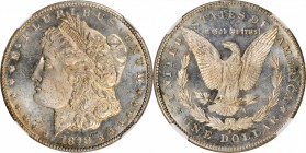Morgan Silver Dollar

1878-S Morgan Silver Dollar. MS-64 (NGC).

PCGS# 7082. NGC ID: 253R.

From the Bill Gleckler Collection.

Estimate: $ 10...