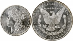 Morgan Silver Dollar

1881-S Morgan Silver Dollar. MS-67 (NGC). CAC.

PCGS# 7130. NGC ID: 2549.

From the Bimyway Collection.

Estimate: $ 600