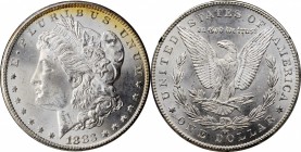 Morgan Silver Dollar

1883-CC GSA Morgan Silver Dollar. Mint State (Uncertified).

The original box and card are included.

PCGS# 518869. NGC ID...