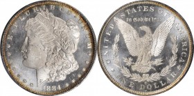 Morgan Silver Dollar

1884-O Morgan Silver Dollar. MS-65 PL (PCGS).

PCGS# 7155. NGC ID: 254N.

From the Collection of Silas Stanley Roberts, 18...