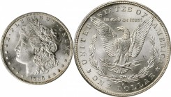 Morgan Silver Dollar

1886-S Morgan Silver Dollar. MS-64 (PCGS).

PCGS# 7170. NGC ID: 254X.

From the Bimyway Collection.

Estimate: $ 550