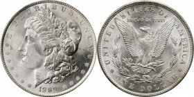 Morgan Silver Dollar

1889 Morgan Silver Dollar. MS-66 (PCGS).

PCGS# 7188. NGC ID: 2558.

From the Bimyway Collection.

Estimate: $ 450