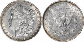 Morgan Silver Dollar

1892-S Morgan Silver Dollar. EF-45 (PCGS).

PCGS# 7218. NGC ID: 255P.

Estimate: $ 300