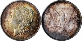 Morgan Silver Dollar

1901 Morgan Silver Dollar. AU Details--Gouged (PCGS).

PCGS# 7272. NGC ID: 256J.

Estimate: $ 100