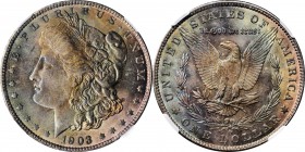 Morgan Silver Dollar

1903-O Morgan Silver Dollar. MS-64 (NGC).

PCGS# 7286. NGC ID: 256S.

From the Bimyway Collection.

Estimate: $ 500