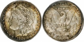 Morgan Silver Dollar

1904 Morgan Silver Dollar. MS-64+ (PCGS). CAC.

PCGS# 7290. NGC ID: 256U.

Estimate: $ 500