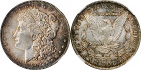 Morgan Silver Dollar

1904-O Morgan Silver Dollar. MS-64 (NGC).

PCGS# 7292. NGC ID: 256V.

From the Dr. Jeffrey A. Rudolph Collection.

Estim...