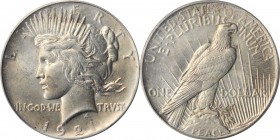 Peace Silver Dollar

1921 Peace Silver Dollar. High Relief. MS-63 (ANACS).

PCGS# 7356. NGC ID: 2U4E.

Estimate: $ 350
