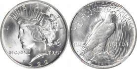 Peace Silver Dollar

1922-D Peace Silver Dollar. MS-64 (NGC).

PCGS# 7358. NGC ID: 257D.

Estimate: $ 100