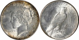 Peace Silver Dollar

1926 Peace Silver Dollar. MS-65 (PCGS).

PCGS# 7367. NGC ID: 257N.

From the Collection of Silas Stanley Roberts, 1888-1966...