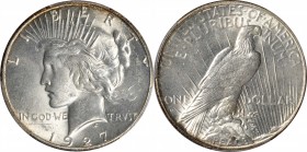 Peace Silver Dollar

1927-S Peace Silver Dollar. MS-62 (PCGS).

PCGS# 7372. NGC ID: 257U.

From the Collection of Silas Stanley Roberts, 1888-19...