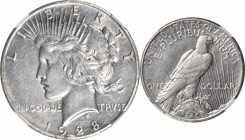 Peace Silver Dollar

1928 Peace Silver Dollar. AU-53 (NGC).

PCGS# 7373. NGC ID: 257V.

Estimate: $ 125