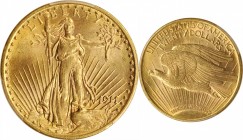 Saint-Gaudens Double Eagle

1911-D Saint-Gaudens Double Eagle. MS-64 (PCGS).

PCGS# 9158. NGC ID: 26FK.

Estimate: $ 2200