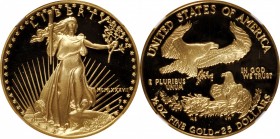 Half-Ounce Gold Eagle

1987-P Half-Ounce Gold Eagle. Proof-69 Ultra Cameo (NGC).

PCGS# 9813. NGC ID: 28Y9.

Estimate: $ 1000