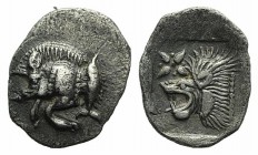 Mysia, Kyzikos, c. 450-400 BC. AR Hemiobol (9mm, 0.35g, 6h). Forepart of boar l.; tunny to r. R/ Head of lion l.; star to l.; all within incuse square...
