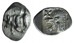 Mysia, Kyzikos, c. 450-400 BC. AR Hemiobol (9mm, 0.39g, 3h). Forepart of boar l.; tunny to r. R/ Head of lion l.; star to l.; all within incuse square...