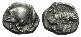 Mysia, Kyzikos, c. 450-400 BC. AR Obol (8mm, 0.81g, 12h). Forepart of boar l.; to r., tunny upward. R/ Head of lion l. within incuse square; K above. ...