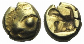 Ionia, Phokaia, c. 625/0-522 BC. EL Myshemihekte – 1/24 Stater (5mm, 0.64g). Head of seal l. R/ Incuse square. Bodenstedt Em. 2.2. VF