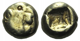 Kings of Lydia, temp. Alyattes – Kroisos, c. 620/10-550/39 BC. EL Hemihekte – Twelfth Stater (8mm, 1.16g). Sardes. Head of roaring lion r. R/ Incuse s...
