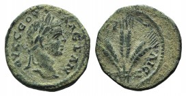 Severus Alexander (222-235). Cappadocia, Caesarea. Æ (20mm, 6.84g, 11h). Dated RY 7 (AD 228). Laureate head r. R/ Three grain ears. Sydenham, Caesarea...