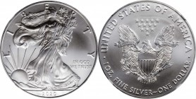 Silver Eagle

Lot of (2) 2020 Silver Eagles. MS-70 (NGC).

PCGS# 809283.

Estimate: $ 100