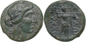 Thessaly - Thessalian League Æ (circa 150-100 BC)
6.86 g. 19mm. F/F Python magistrate. Head of Apollo to right / ΘEΣΣAΛΩN, Athena Itonia striding to ...