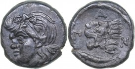 Bosporus Kingdom, Pantikapaion Æ tetrachalcon (Circa 303-283 BC)
8.05 g. 21mm. AU/AU Bearded head of Pan to left / The head of a lion with a short ma...